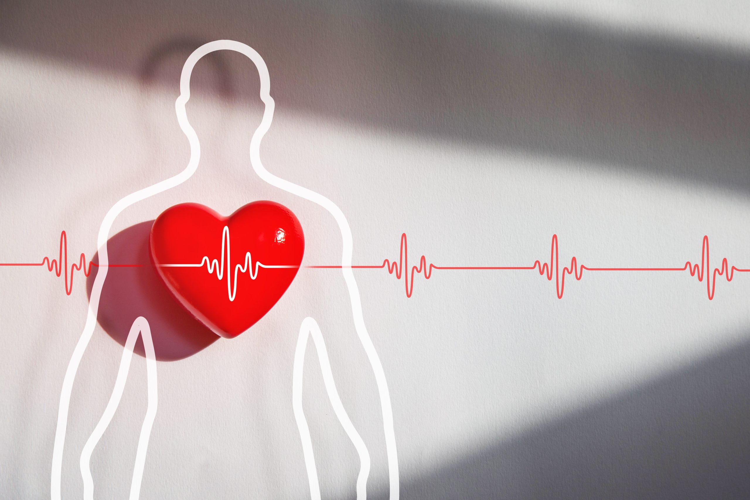 The Link Between Oral Health and Heart Disease Image